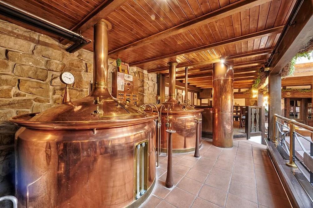 Brauhaus Zum Loewen Hotel Mühlhausen Eksteriør billede